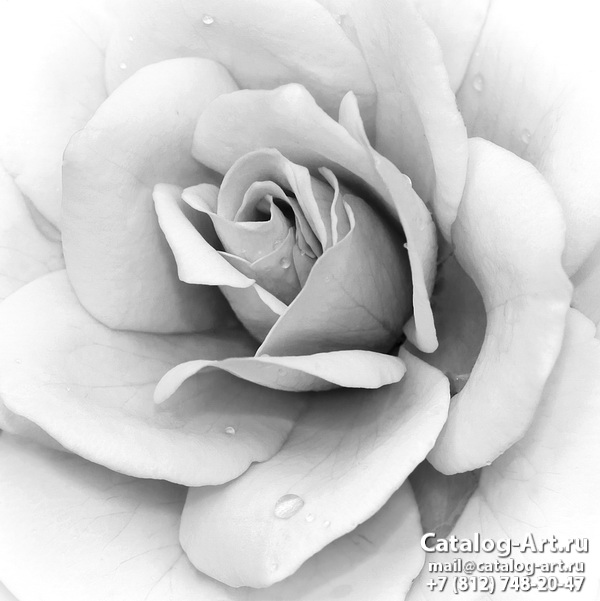 Натяжные потолки с фотопечатью - Белые розы 10
